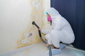 Best Attic Mold Removal  in Checotah, OK